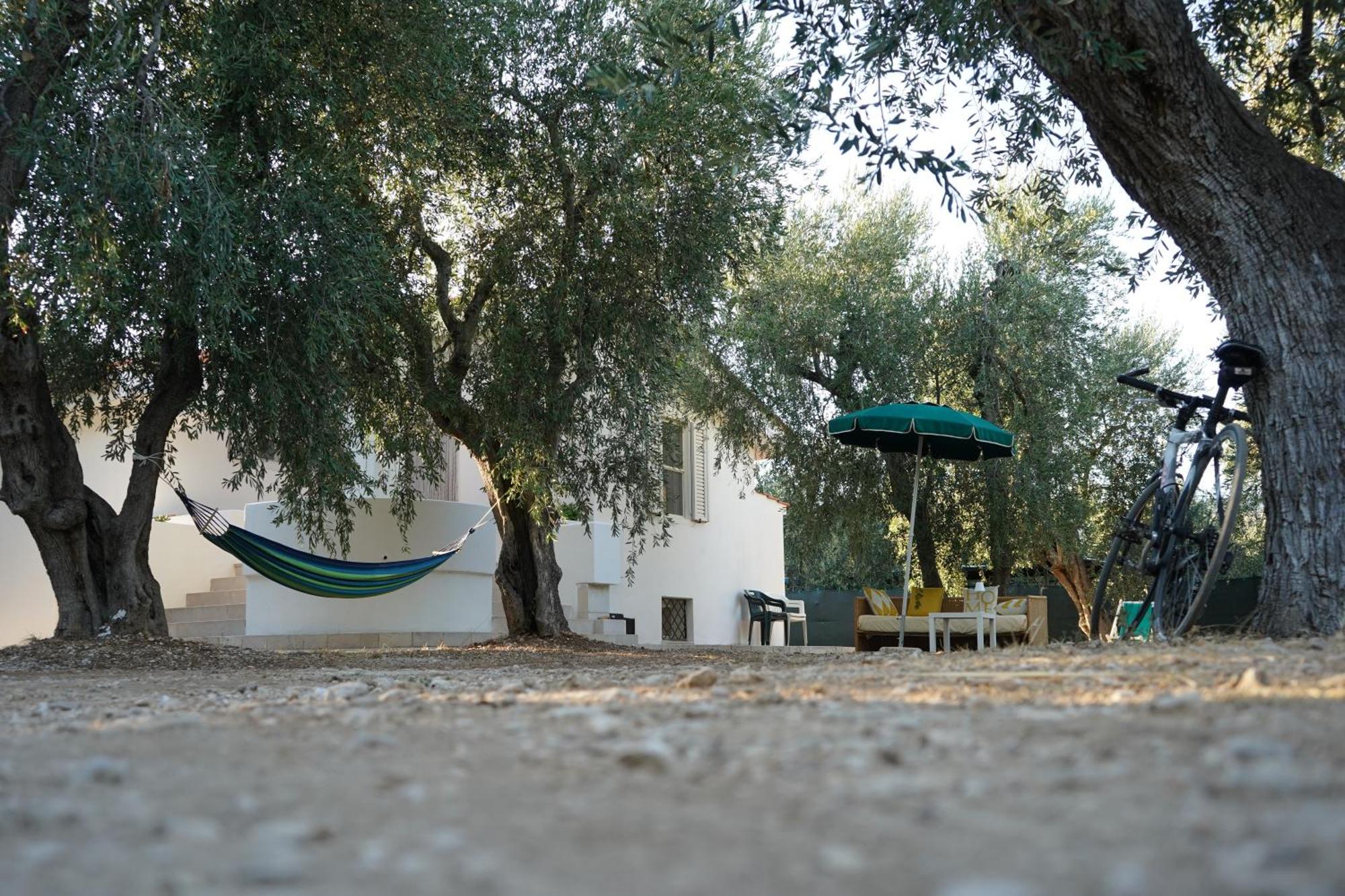 Olive&Sea Villa-Olive Mattinata Extérieur photo